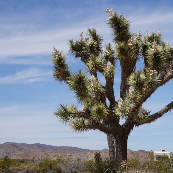 Meet your Posher, Bremmie Vintage - Picture 2 of 8